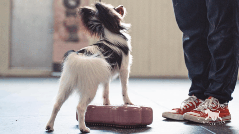 VALMENNUKSET – Viikko 6 (2-8.2.2026)