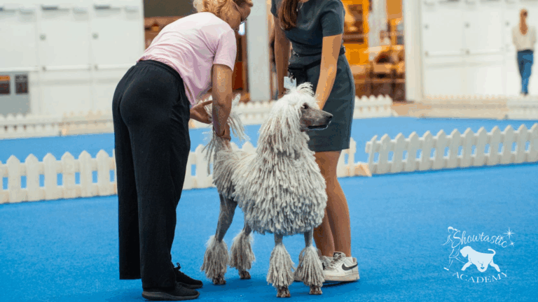 VALMENNUKSET – Viikko 5 (26.1.-1.2.2026)