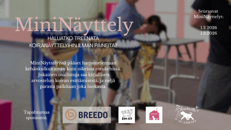 MiniNäyttely Tuusulassa 1.2.2026