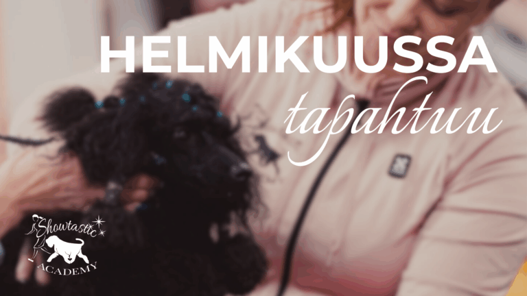 Helmikuussa tapahtuu