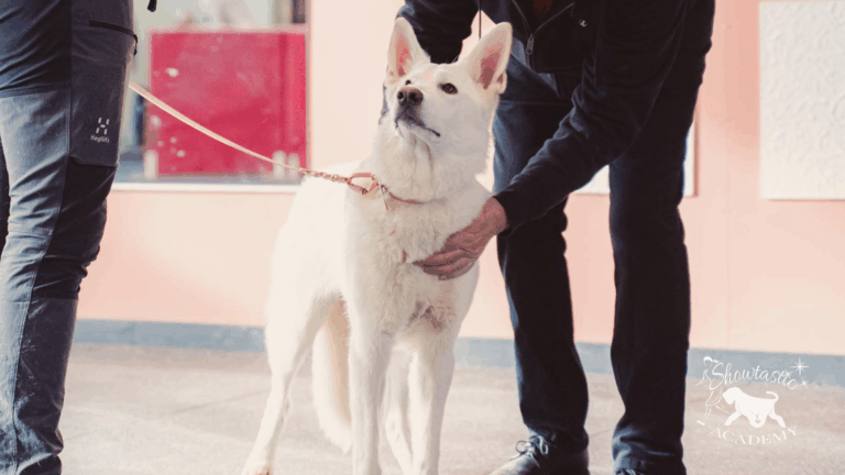 VALMENNUKSET – Viikko 11 (9.-15.3.2026)