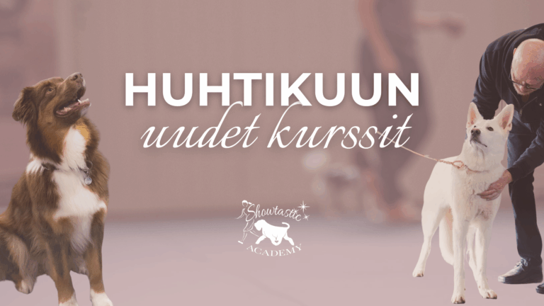 Huhtikuun uudet alkavat kurssit