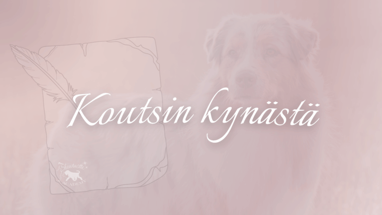 Koutsin kynästä – kun koira ei ole tuhma, vaan jää tyhjän päälle