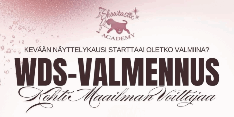 ”Kohti Maailman Voittajaa” WDS -valmennus: Hae mukaan 8.3. mennessä!
