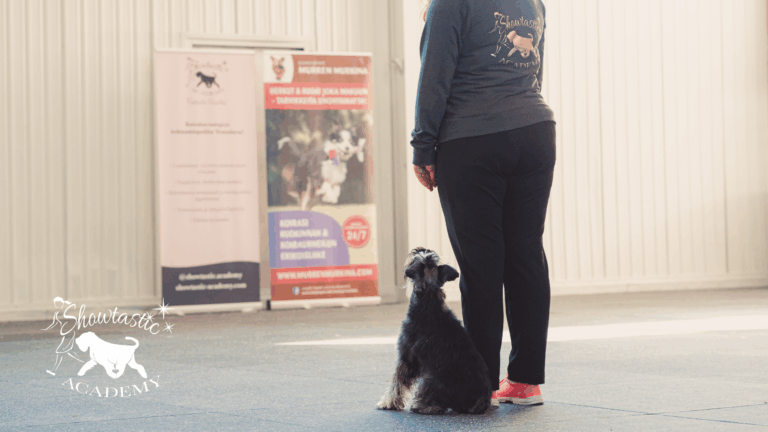 VALMENNUKSET – Viikko 14 (30.3.-5.4.2026)