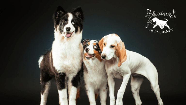 VALMENNUKSET – Viikko 15 (6.-12.4.2026)