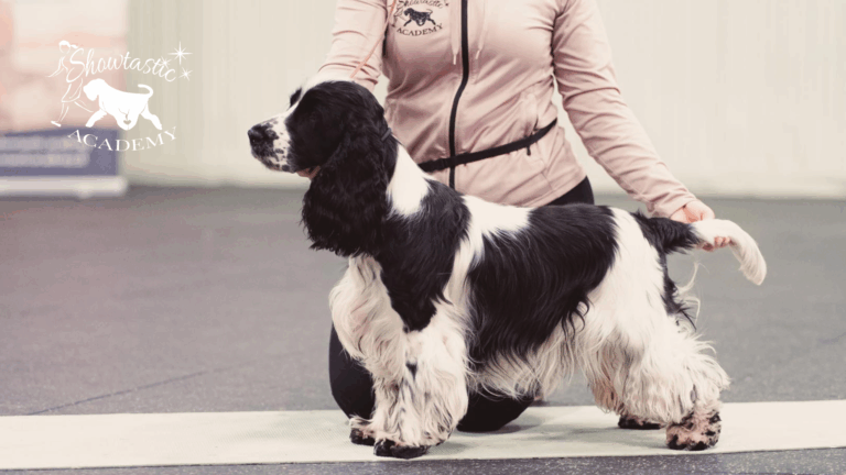 VALMENNUKSET – Viikko 16 (13.-19.4.2026)