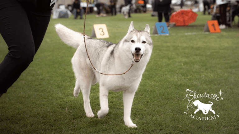 VALMENNUKSET – Viikko 18 (27.4-3.5.2026)