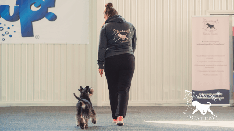 VALMENNUKSET – Viikko 20 (11.-17.5.2026)