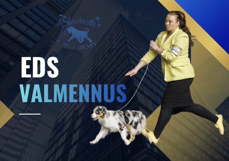 EDS-valmennusryhmät tulevat jälleen!