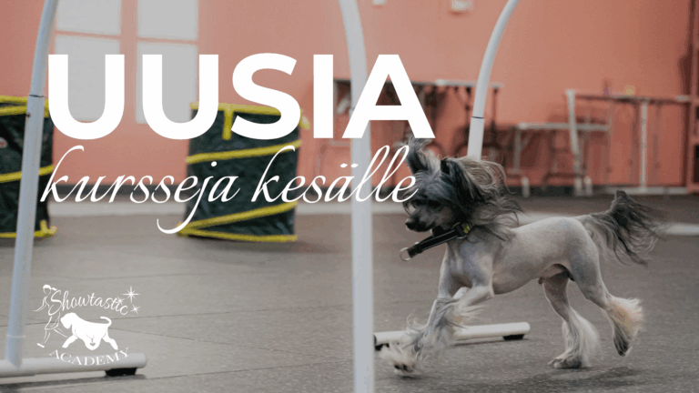 Uusia kursseja kesälle!