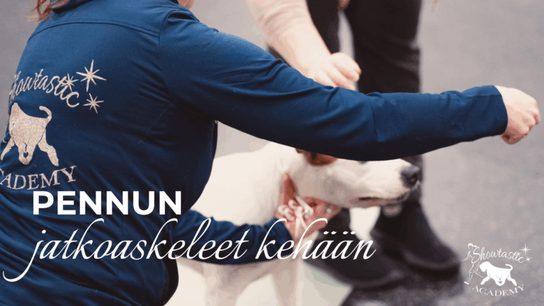 Pennun jatkoaskeleet kehään – UUSI KURSSI 8.7. ALKAEN