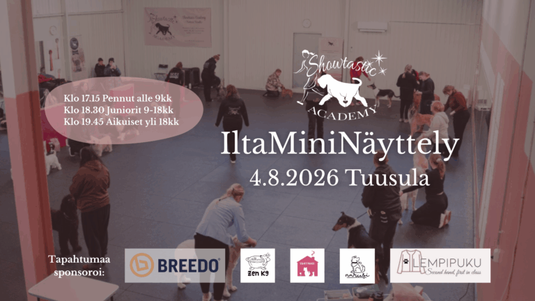 Elokuun IltaMiniNäyttely Tuusulassa 4.8.2026