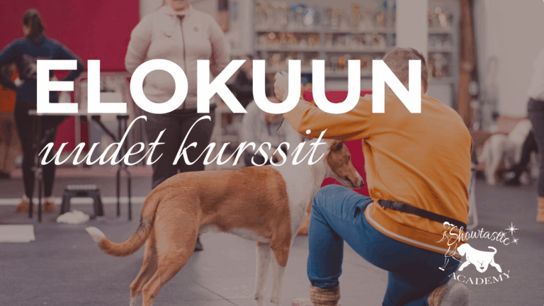 Elokuun uudet kurssit