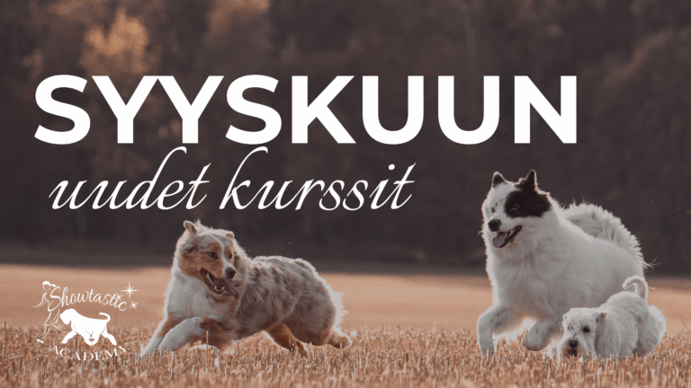 SYYSKUUSSA alkavat kurssit
