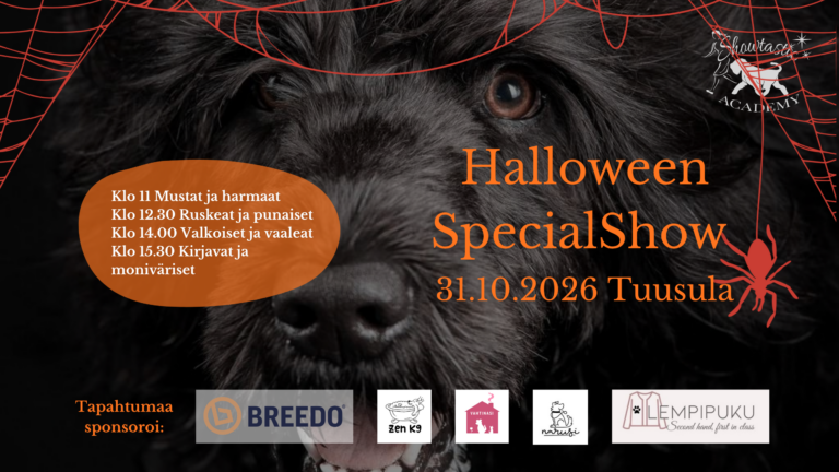 Halloween SpecialShow 31.10.2026