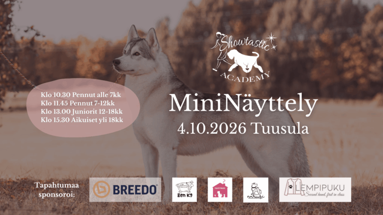 Lokakuun MiniNäyttely Tuusulassa 4.10.2026